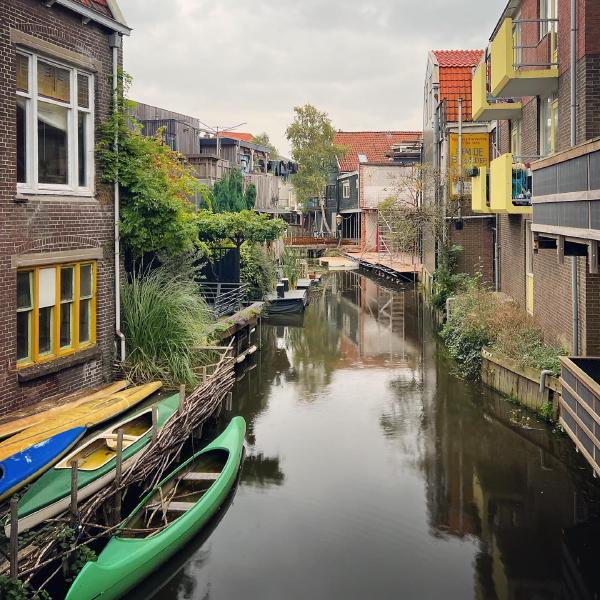 Zaandam backwaters