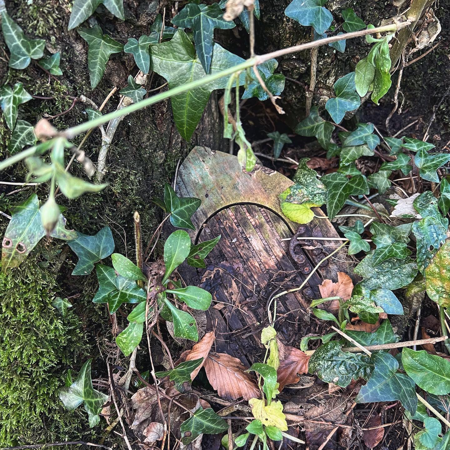 Fairy Door at the Old Fairy Bridge