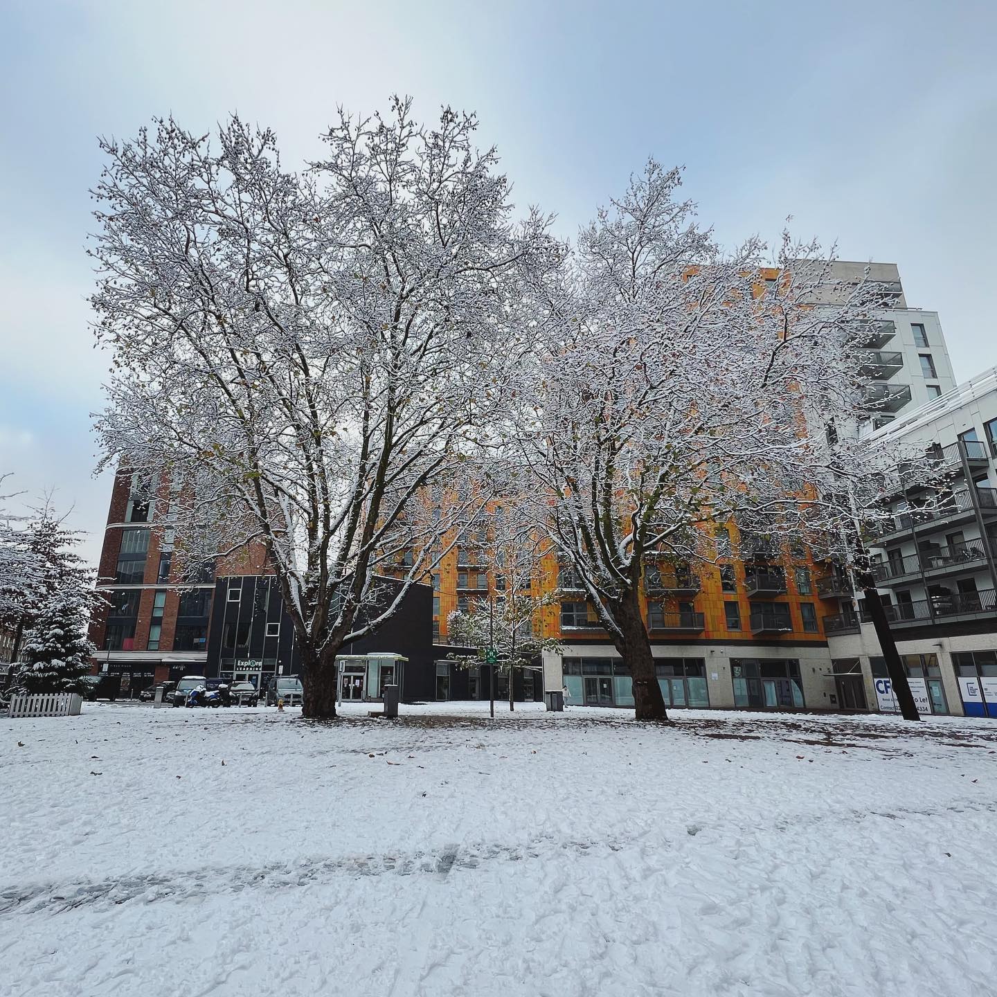 Rathbone Market in the snow