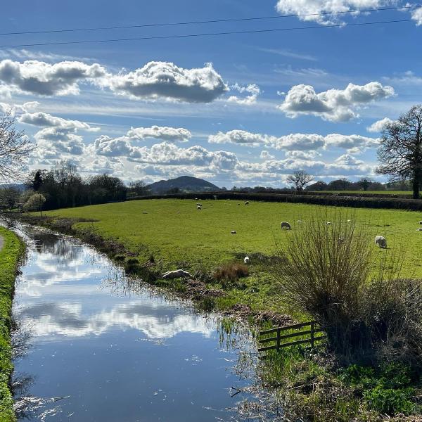 Canal path