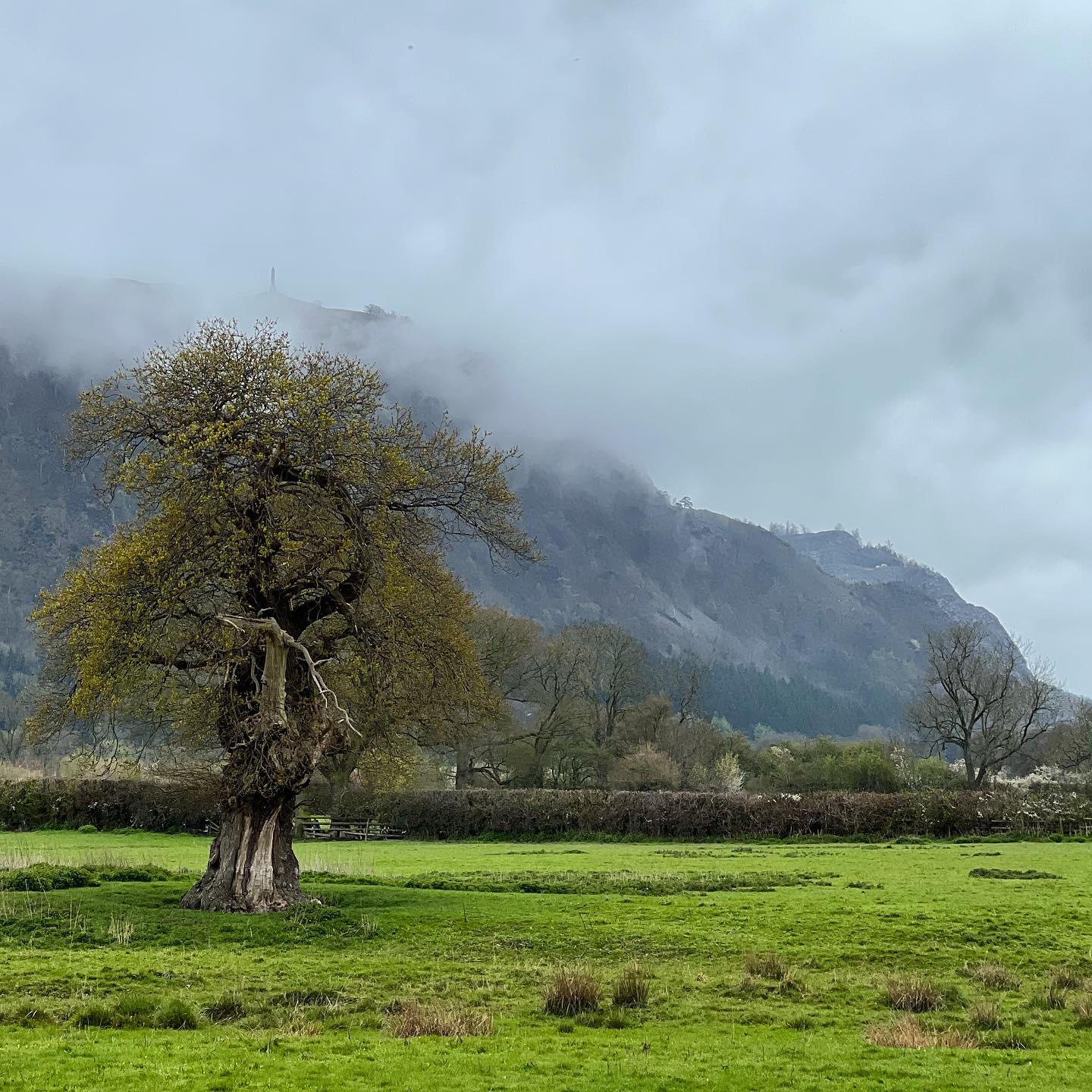 Misty mountains