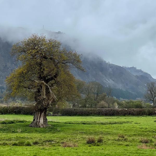 Misty mountains