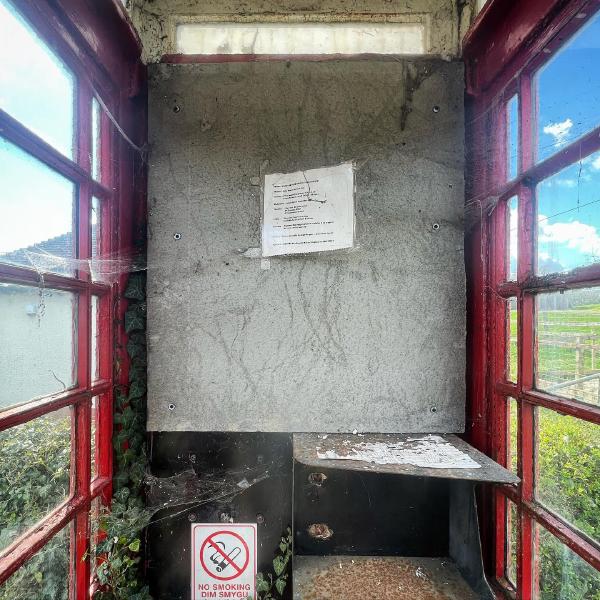 Phonebox in 2023  no phone nature reclaiming community notice