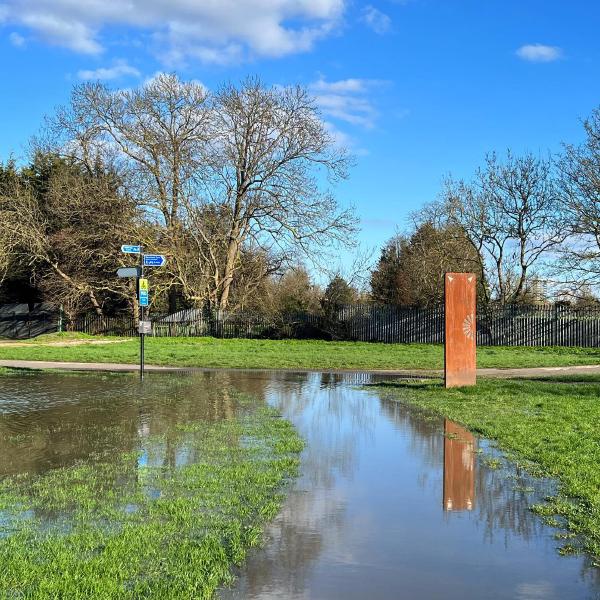 Roding Valley Way a little wet today