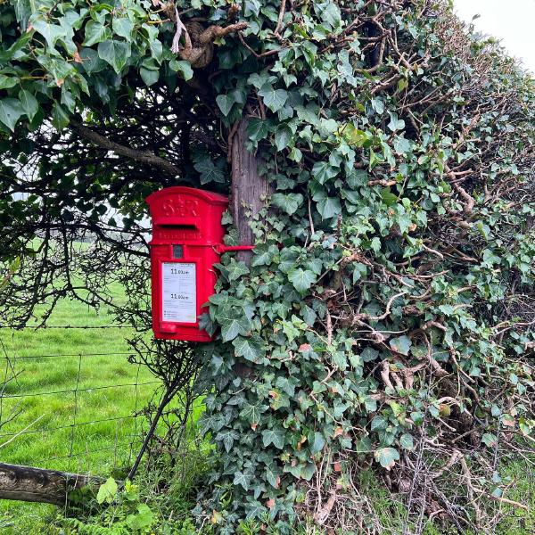 Sheltering postbox