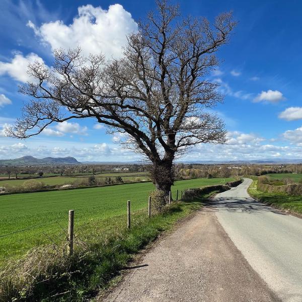 Looking into Wales