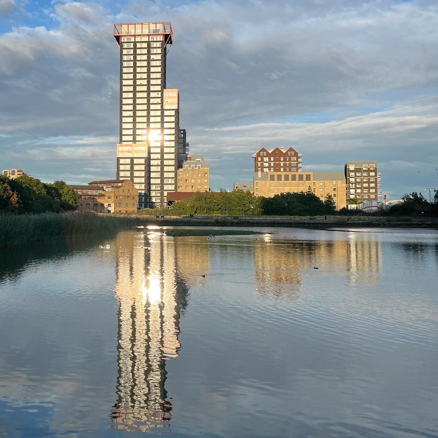 Douglass Tower