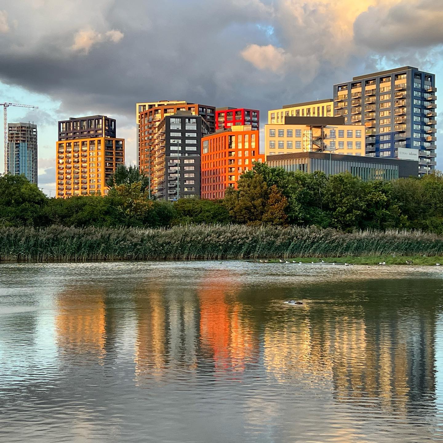 London City Island from East India Dock Basin