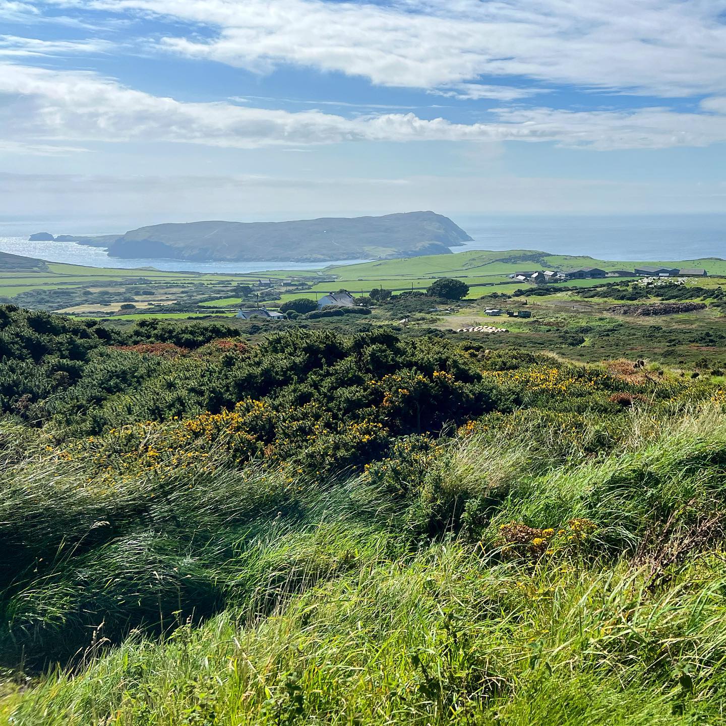 View of the Calf