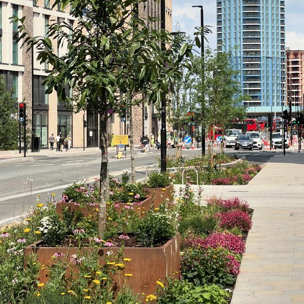 Canning Town is slowly getting greener