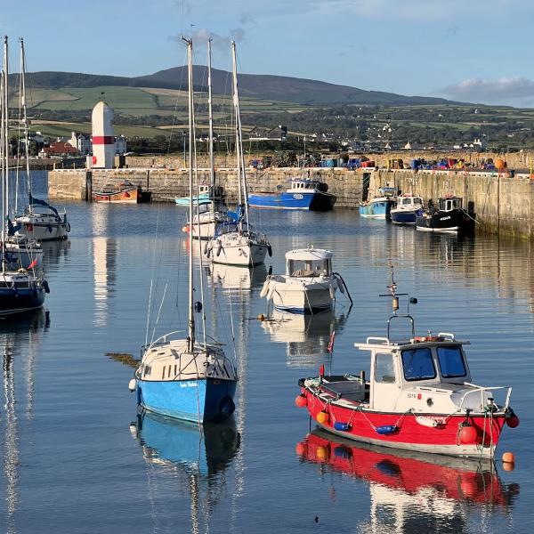 Boats in the Harbour