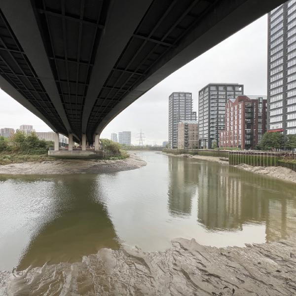 Lower Lea Crossing