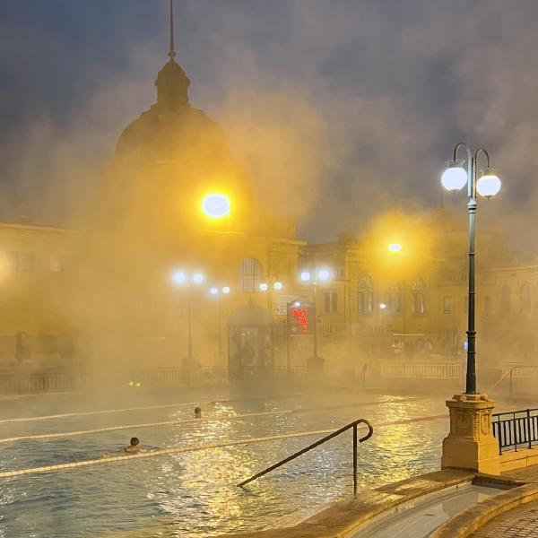 Swimming in the Mist