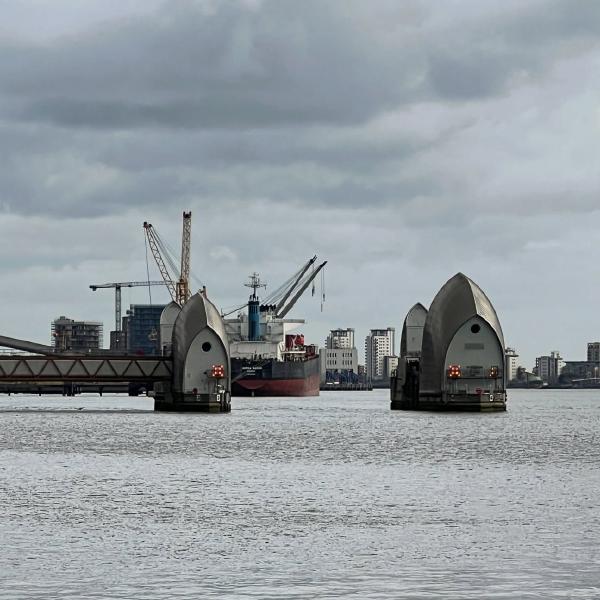 Offloading Sugar to Tate & Lyle