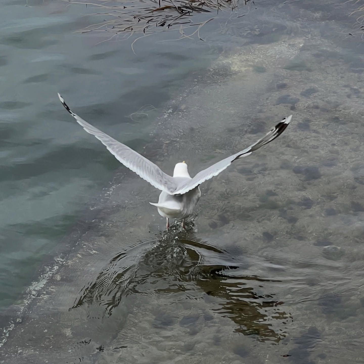 Takeoff