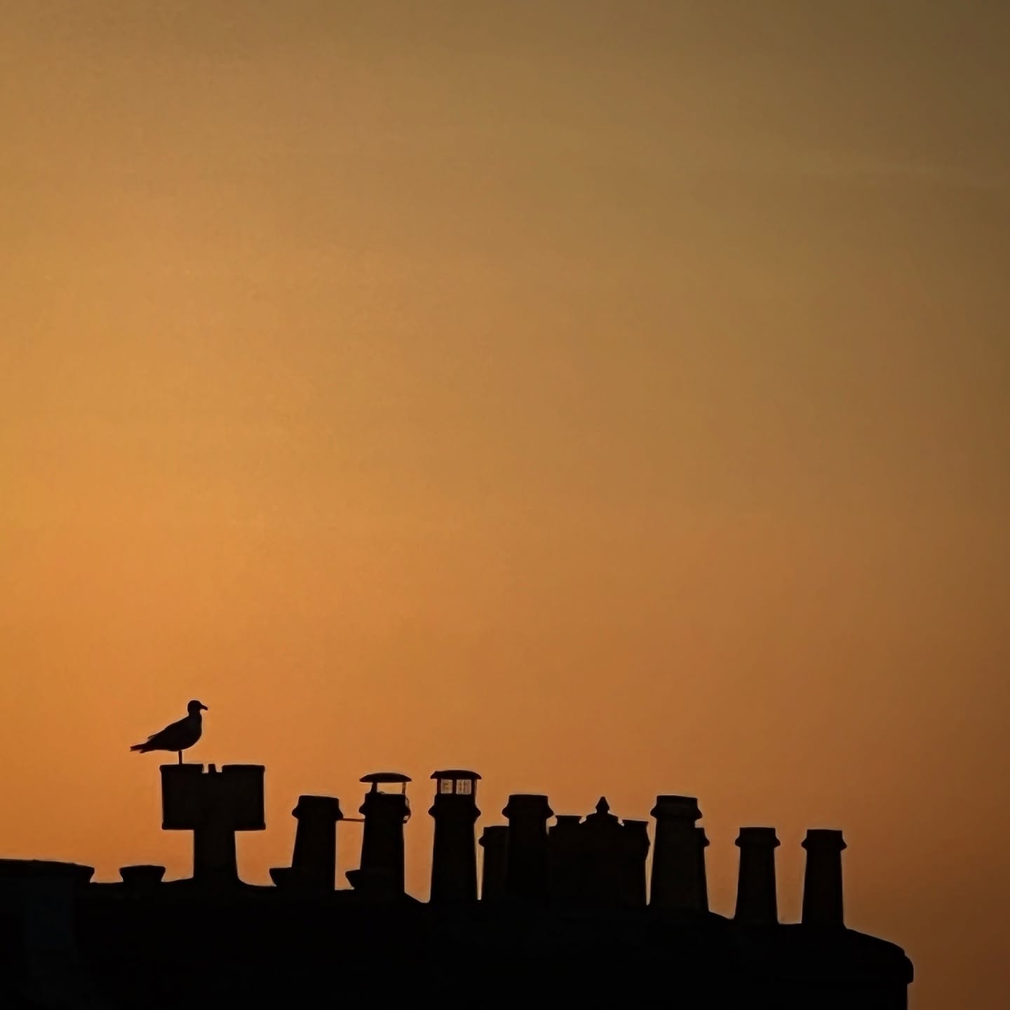 Early Morning Watch