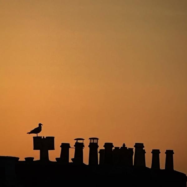 Early Morning Watch