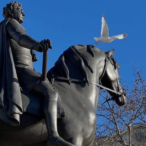 Keeping an eye on Trafalgar Square