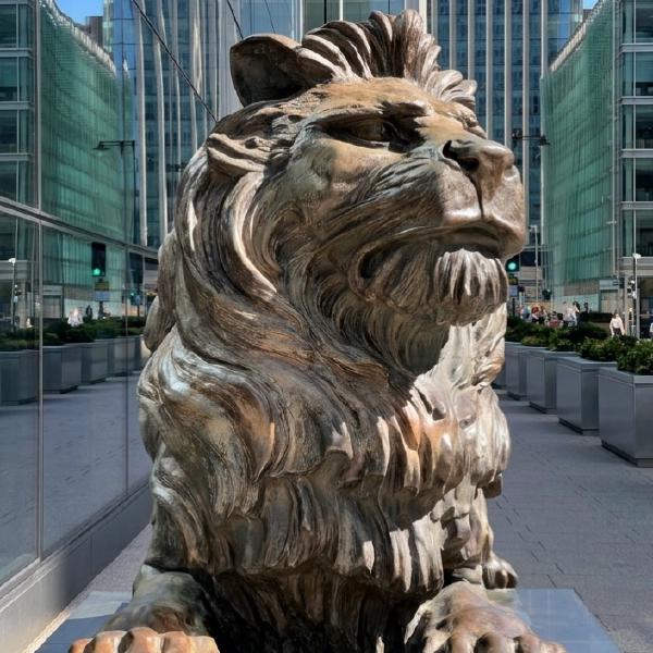 Basking in the sunshine